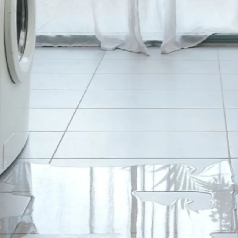 Appliance Leak Cleanup in Terrell Hills, TX