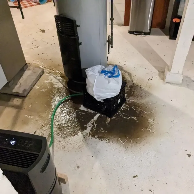 Sewage Backup Cleanup Service in Terrell Hills, TX